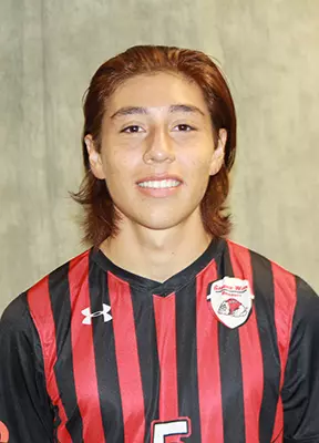 Edin H