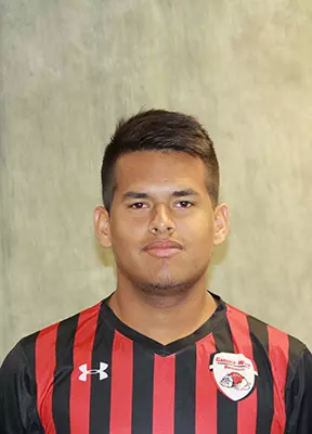 Manuel Torres