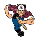 Team Logo