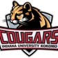 IU-Kokomo Logo