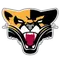 Saint Xavier University (Ill.) Logo