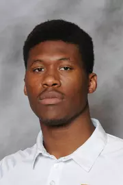 David Irving