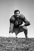 Howard Brown