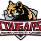 Indiana University Kokomo Logo