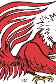 Gamecock Logo