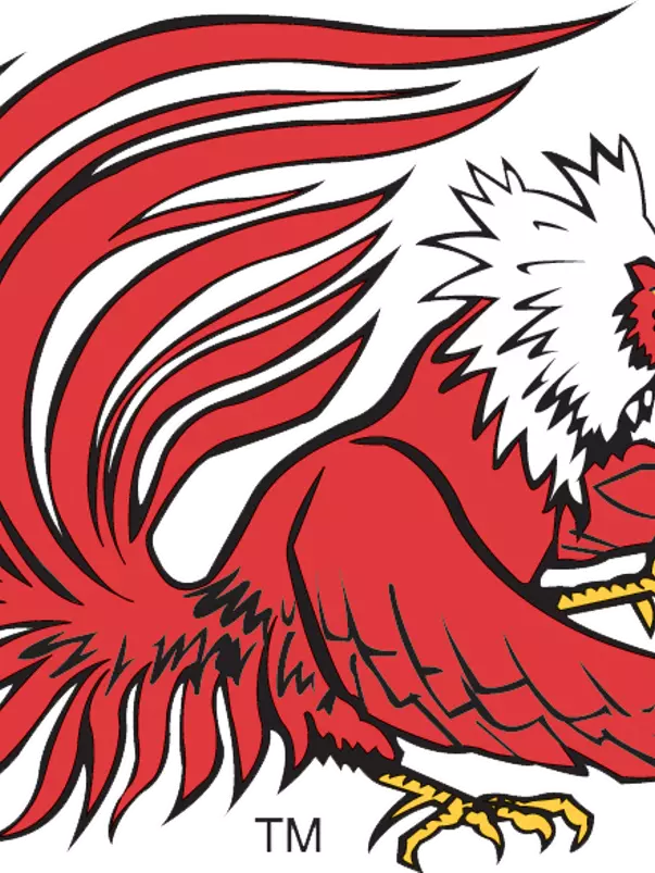Gamecock Logo