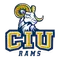 Columbia International University Logo