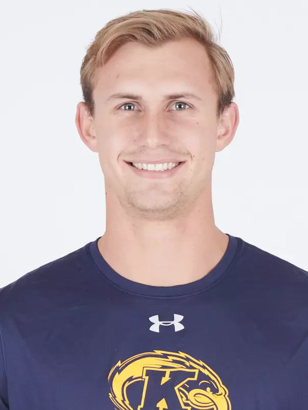 mtf_hs_vanderwatt_2020