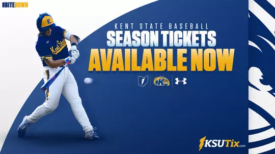 2026 Baseball Season Tickets 16x9