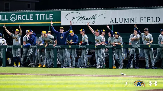 Baseball team dugout at SE Louisiana