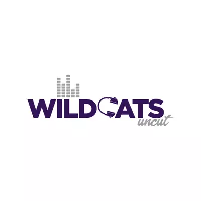 Podcast Image