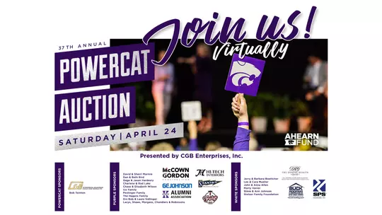 Powercat Auction Final