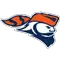 Carroll University logo