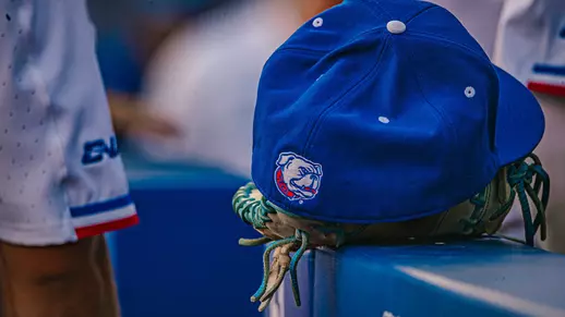 LA Tech Baseball hat and glove