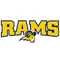 Texas Wesleyan University Logo