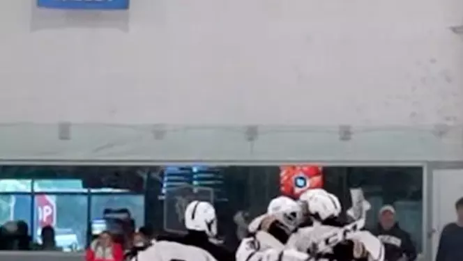 goal 10/11
