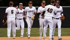 Baseball Celebration