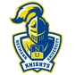 Neumann University Logo