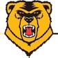 Western New England University Logo