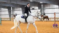 Equestrian advances three Hunt Seat, three Western riders out of Region 4 shows