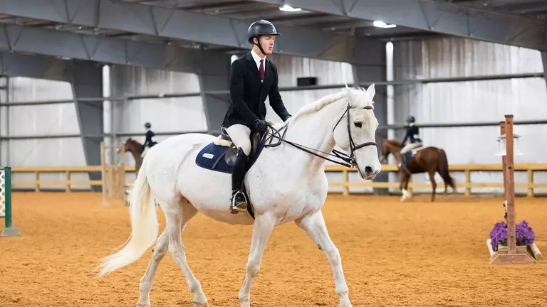 Equestrian advances three Hunt Seat, three Western riders out of Region 4 shows