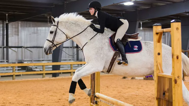 Chenelle first equestrian rider to be inducted into Club Sports Hall of Fame