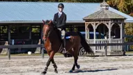Hunt Seat equestrian team rides to Reserve Champion showings at R-MC, CNU