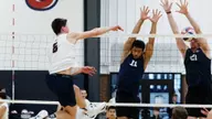 DI men’s volleyball team ousted by Florida in quarterfinals, DII falls to Virginia Tech in final