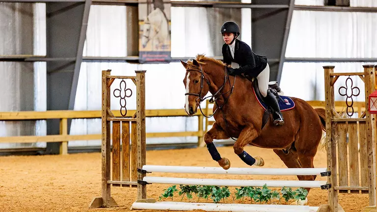 Hunt Seat riders capture Region 4 regular-season championship, start postseason Saturday at Sweet Briar