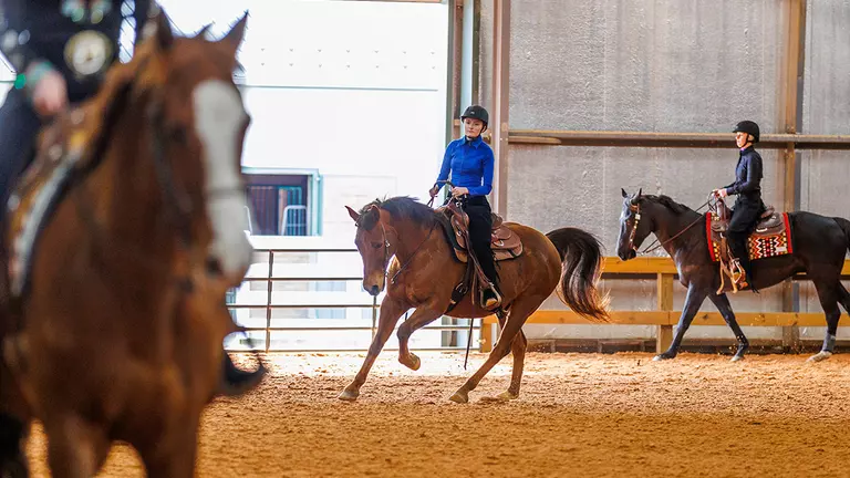 Hunt Seat equestrian team strengthens Region 4 lead after weekend shows; Western riders third, fourth at home