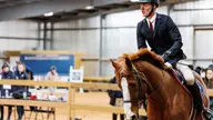 Hutchinson pairs his love for equestrian with engineering, data analytics to study pro riders' success