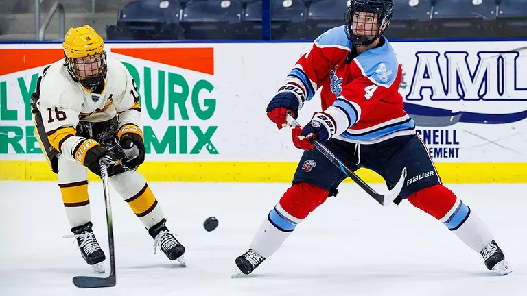 DIII Flames cap regular season by sweeping High Point; set for ACCHL tourney this weekend, nationals March 18-25