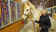 Florida family donates show horse to Liberty's Hunt Seat equestrian program