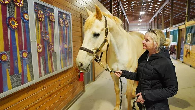 Florida family donates show horse to Liberty's Hunt Seat equestrian program