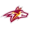 Alvernia University Logo