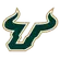 University of South Florida