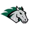 Stevenson University Logo