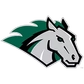 Stevenson University Logo