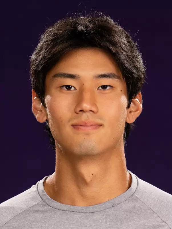 Henrique Ushizima