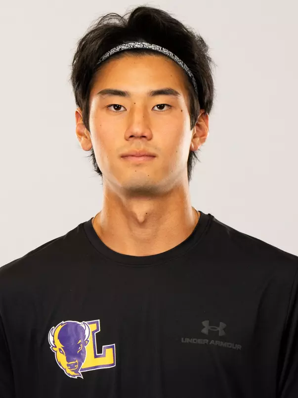 Henrique Ushizima
