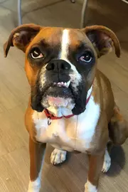 Lucy