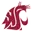 Washington State Logo