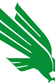 Diving Eagle Logo