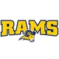 Texas Wesleyan University Logo