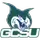 Georgia College