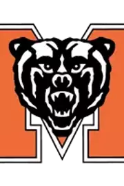 Bears logo