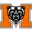 Volleyball Team Logo