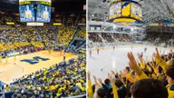 Safety at Crisler Center and Yost Ice Arena