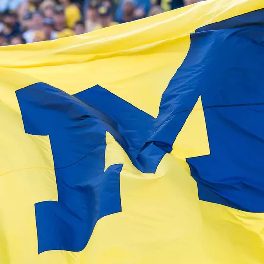 Maize and Blue