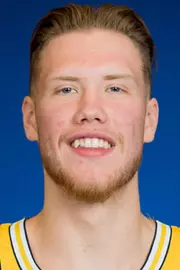 Brazdeikis-Ignas
